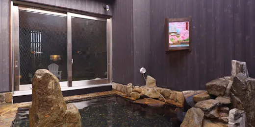 天然温泉 白鷺の湯 ドーミーイン姫路