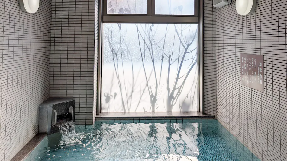 Green Rich Hotel Aso Kumamoto Airport (Artificial Hot Spring Futamata Yunohana)