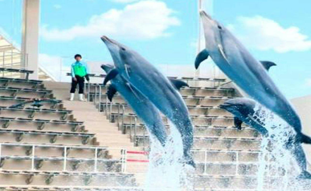【仙台うみの杜水族館チケット付：朝食付】ペンギン好きさん集合！家族旅行やデートにおすすめ