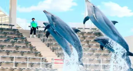 【仙台うみの杜水族館チケット付:朝食付】ペンギン好きさん集合!家族旅行やデートにおすすめ