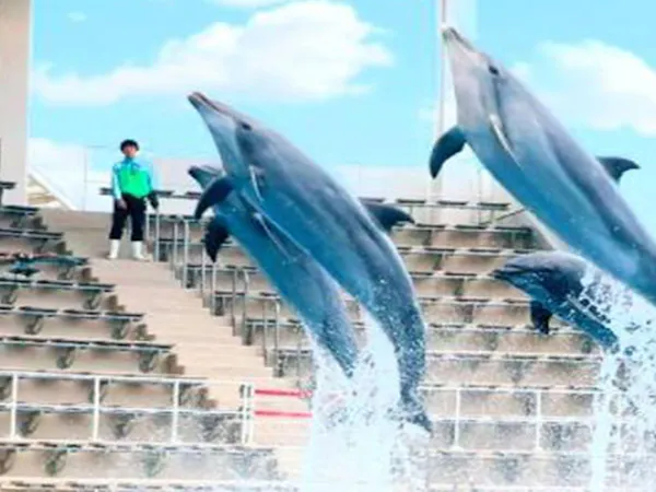 【仙台うみの杜水族館チケット付:朝食付】ペンギン好きさん集合!家族旅行やデートにおすすめ