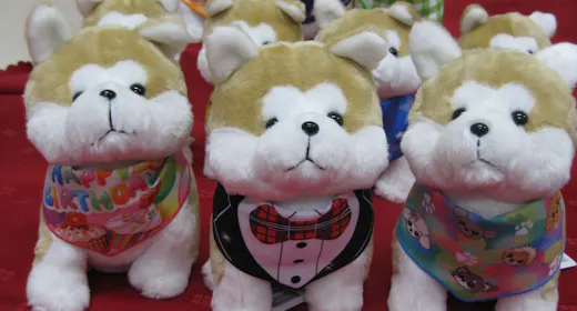 【ハチ公生誕100年+わんわんわん】<朝食付>「秋田犬ぬいぐるみ」付 Kawai癒しプラン
