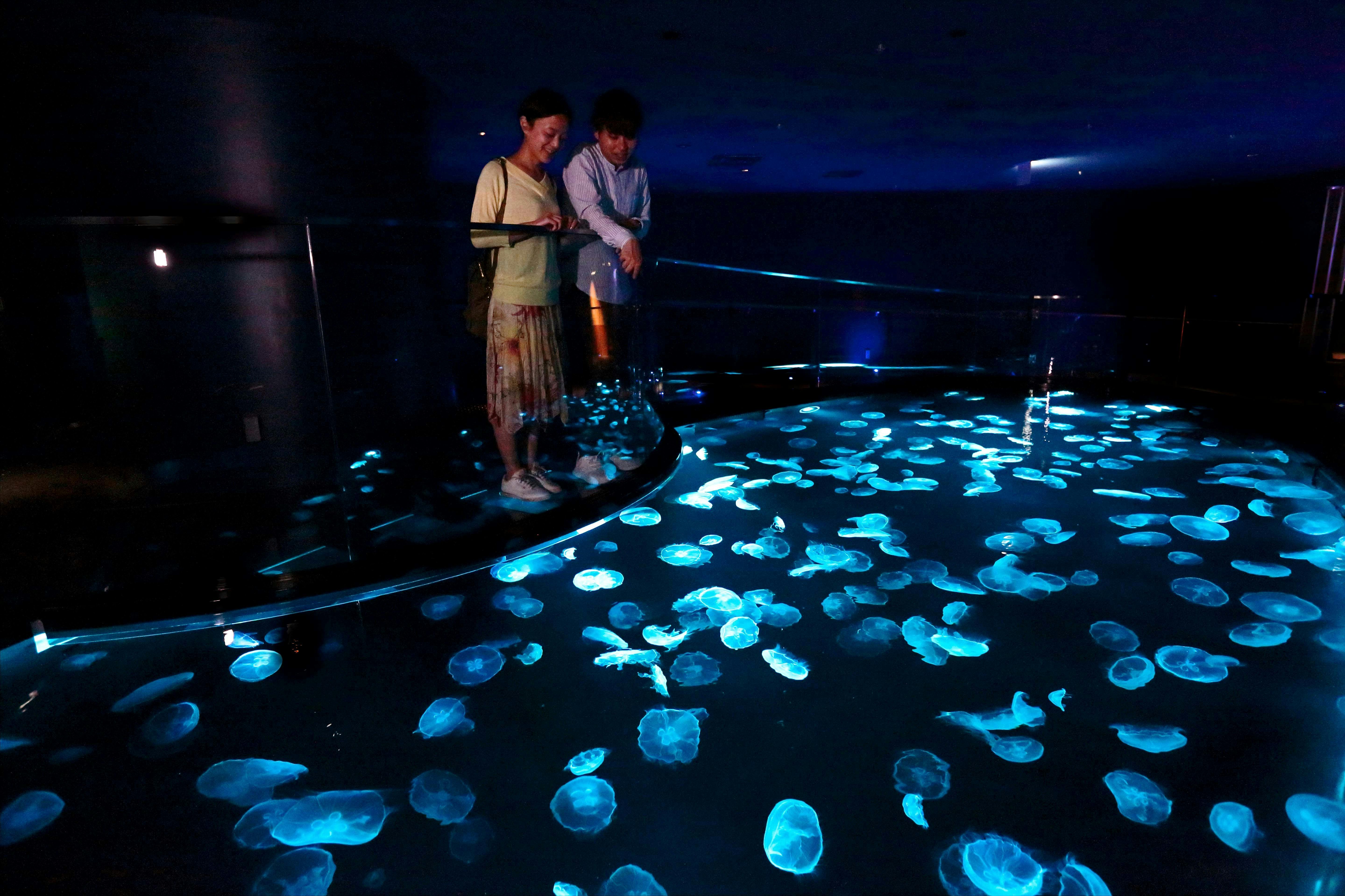 ＜14時チェックイン＞すみだ水族館入館引換チケット付プラン【朝食付き】