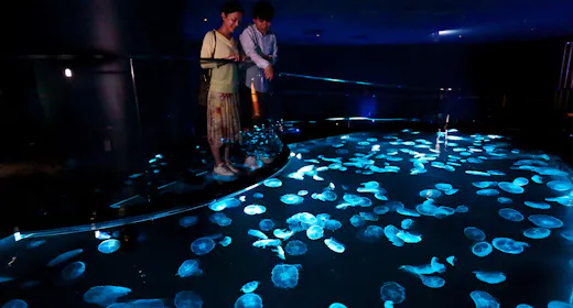 <14時チェックイン>すみだ水族館入館引換チケット付プラン【朝食付き】