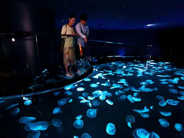 <14時チェックイン>すみだ水族館入館引換チケット付プラン【朝食付き】