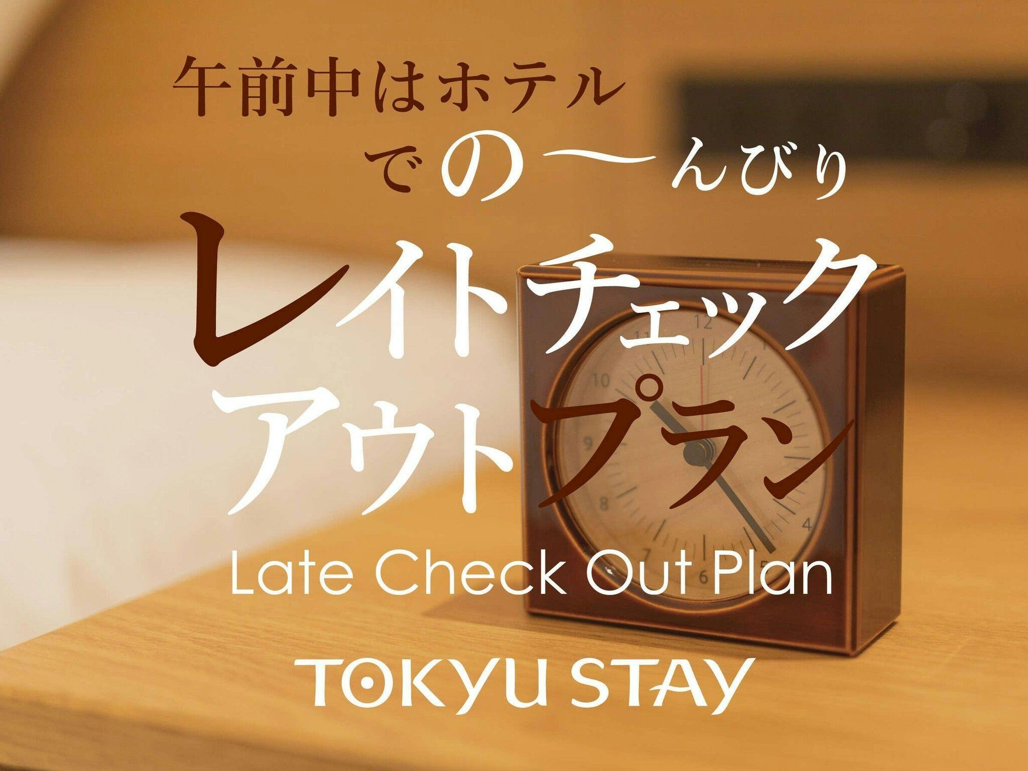 【レイトチェックアウト】13時までのんびりご滞在【1名】（素泊）