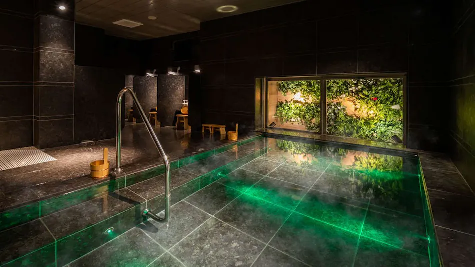 Natural Hot Spring Oku-Yugawara no Yu Super Hotel Premier Ginza