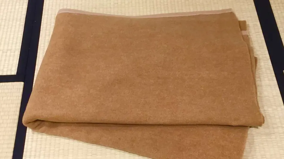 Ariston Hotel Kyoto Jujo
