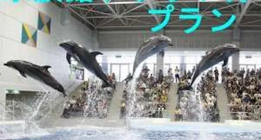 【素泊まり】特典:水族館チケット付きプラン【朝食なし】