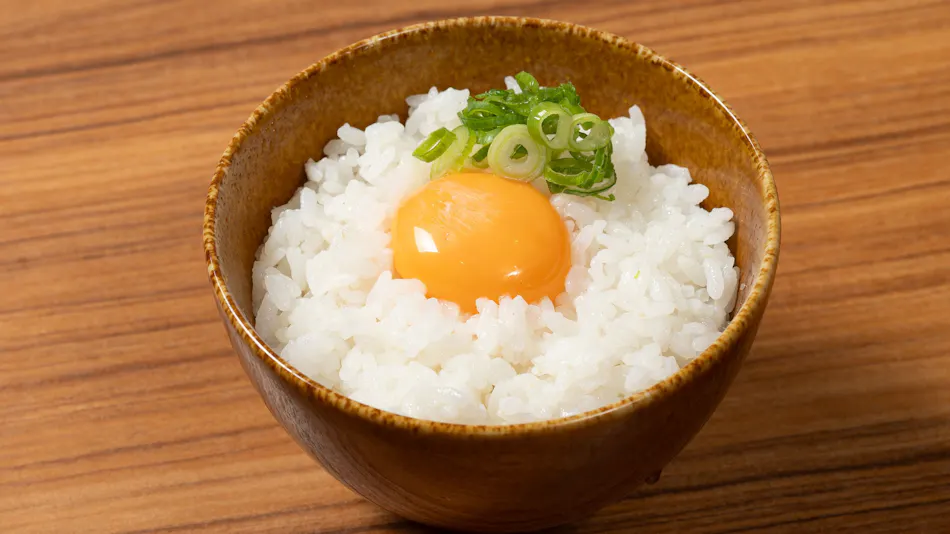 Vessel Inn Namba