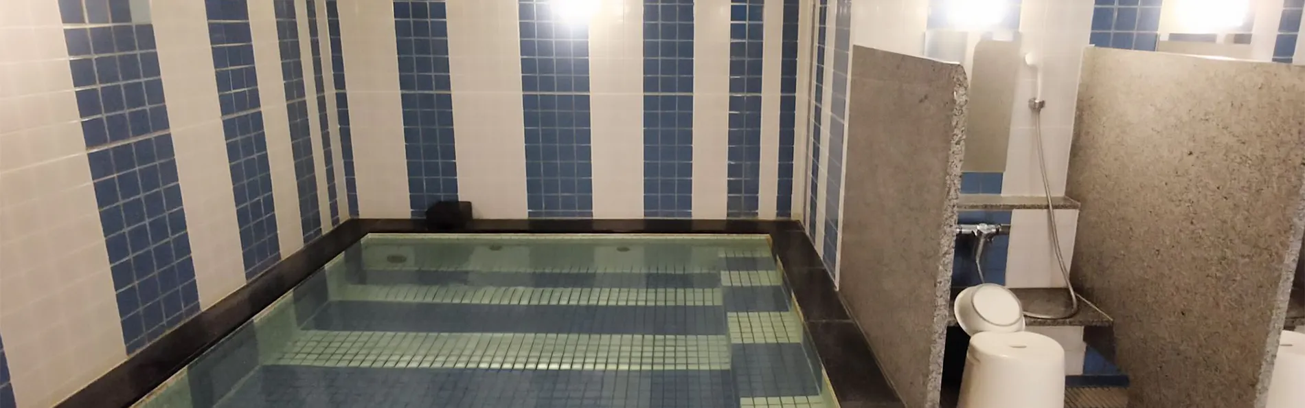 グリーンリッチホテル名古屋錦(人工温泉 二股湯の華)