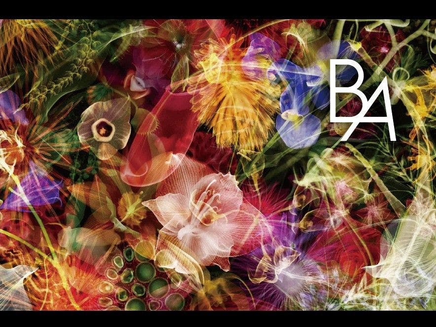 ホテルフォルツァ京都四条河原町 - 【POLA B.A付】自分を磨く