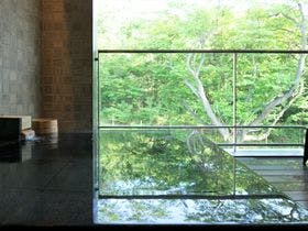 ＬＩＭＥ　ＲＥＳＯＲＴ　ＨＡＫＯＮＥ