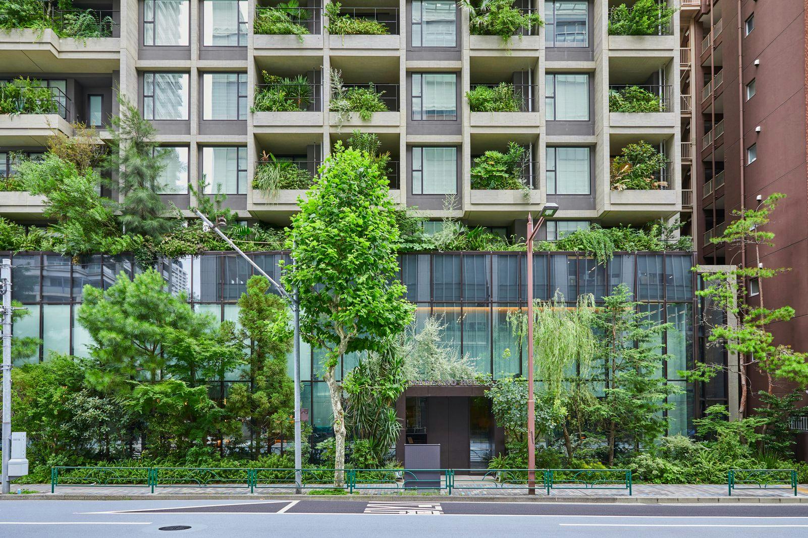 その他 mamacho MAMA.】2025年3月31日(月)渋谷WWWX＜MAMA. 単独公演「それはあなたの