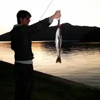 ผลการตกปลา