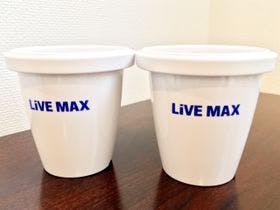 ホテルリブマックス 浜松駅前 （HOTEL LiVEMAX）