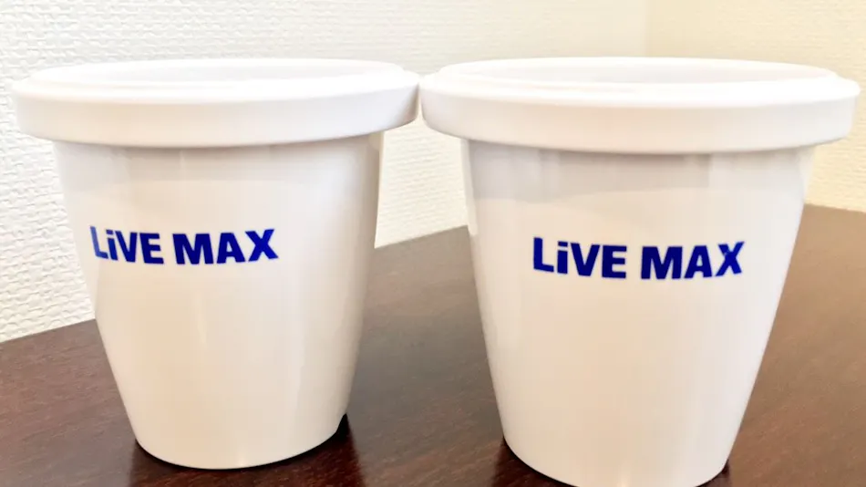 Hotel Livemax Budget Hamamatsu Ekimae