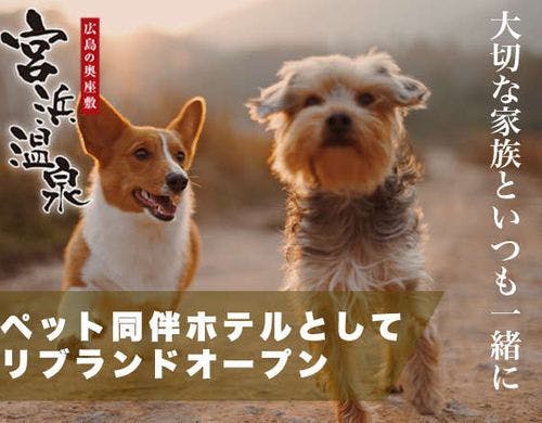 【リブマックスリゾート安芸宮浜温泉】を予約する Yahoo!トラベル