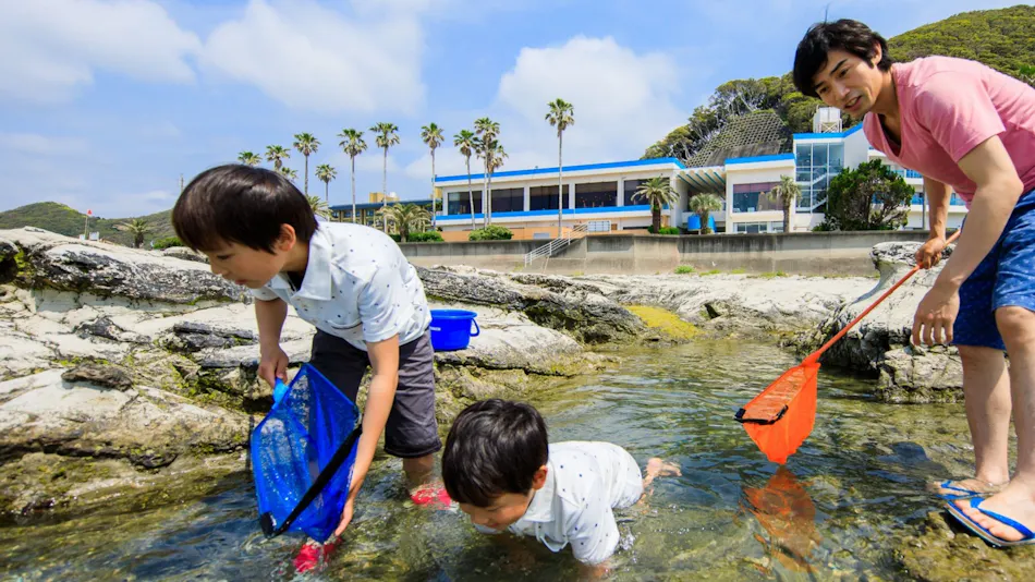 Hotel Green Plaza Kamogawa