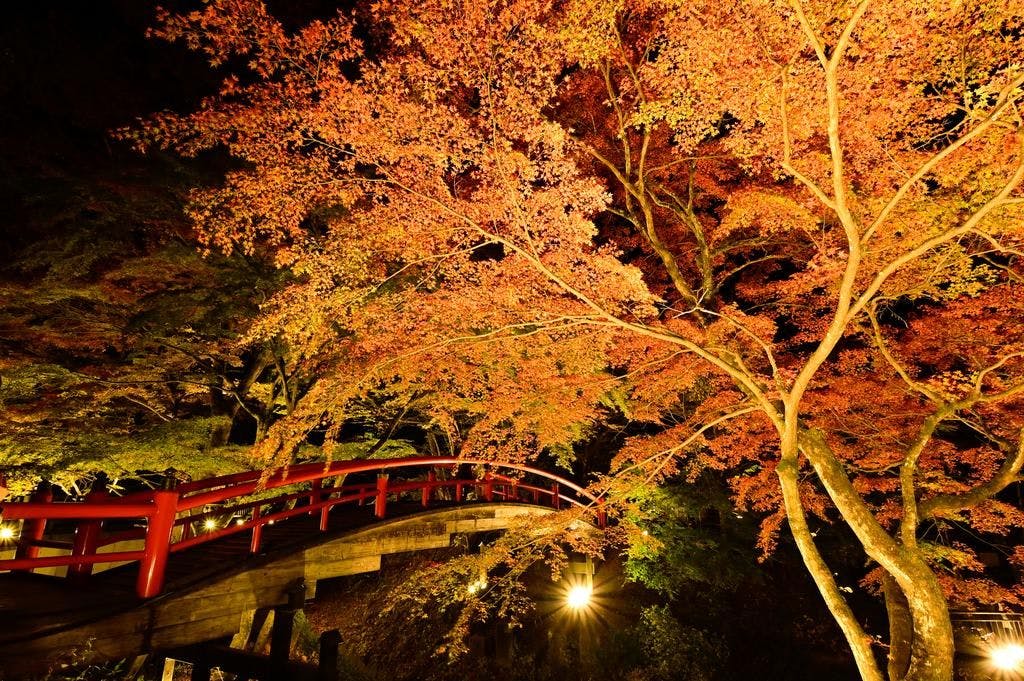 Jembatan Kajika_Daun Musim Gugur
