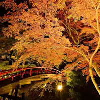 Jembatan Kajika_Daun Musim Gugur