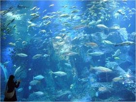 セイコーグランドホテル