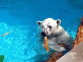 セイコーグランドホテル