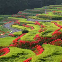 นาขั้นบันไดเอริยามะ