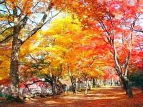 ホテルパールシティ盛岡