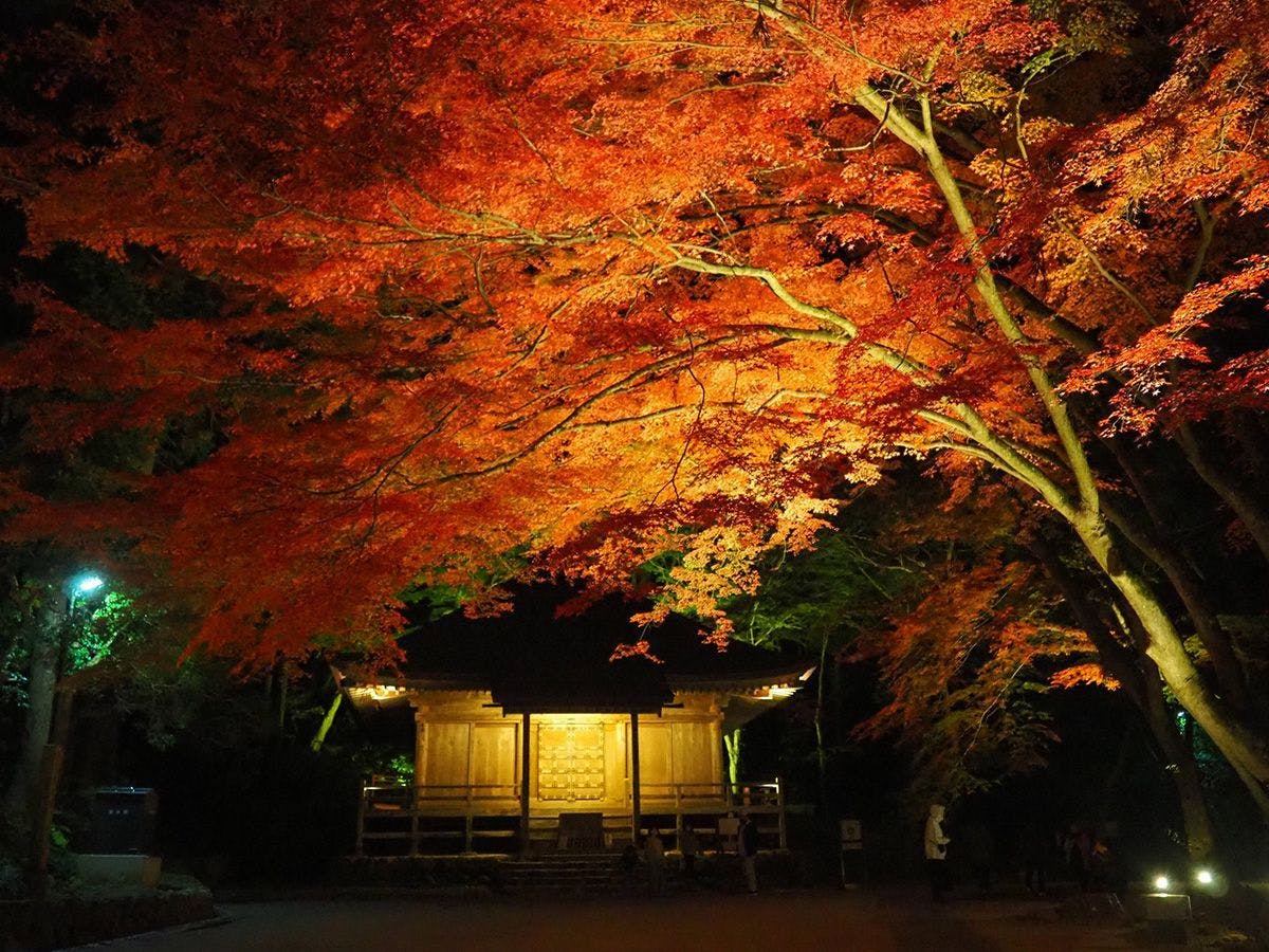 ◆วัดชูซนจิ