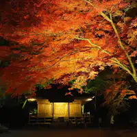 ◆วัดชูซนจิ