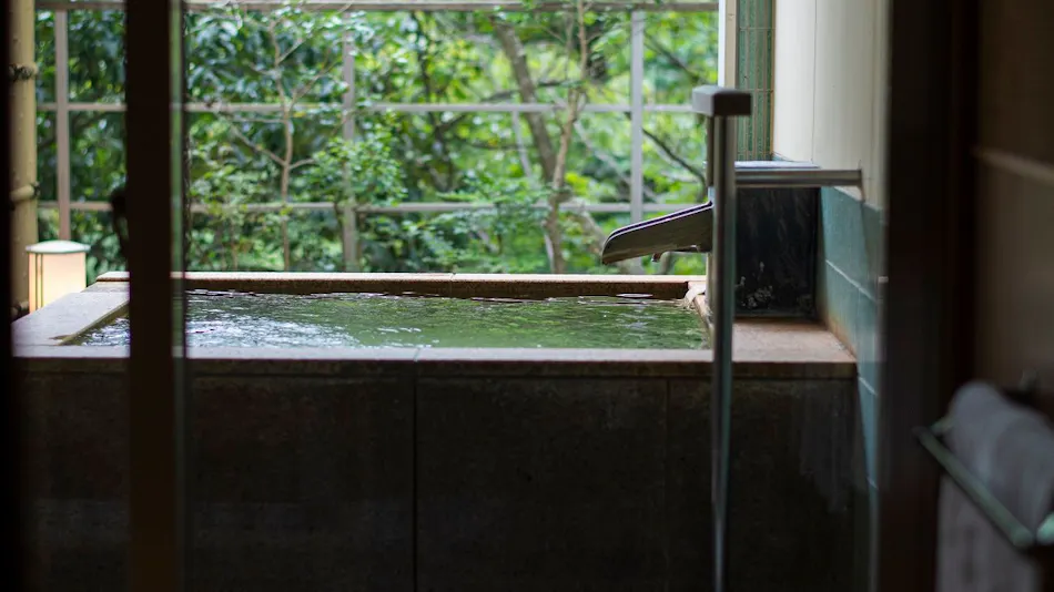 Hotel Miyama