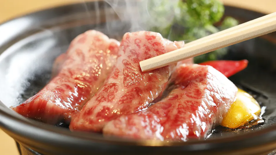Hakone Mori Okada