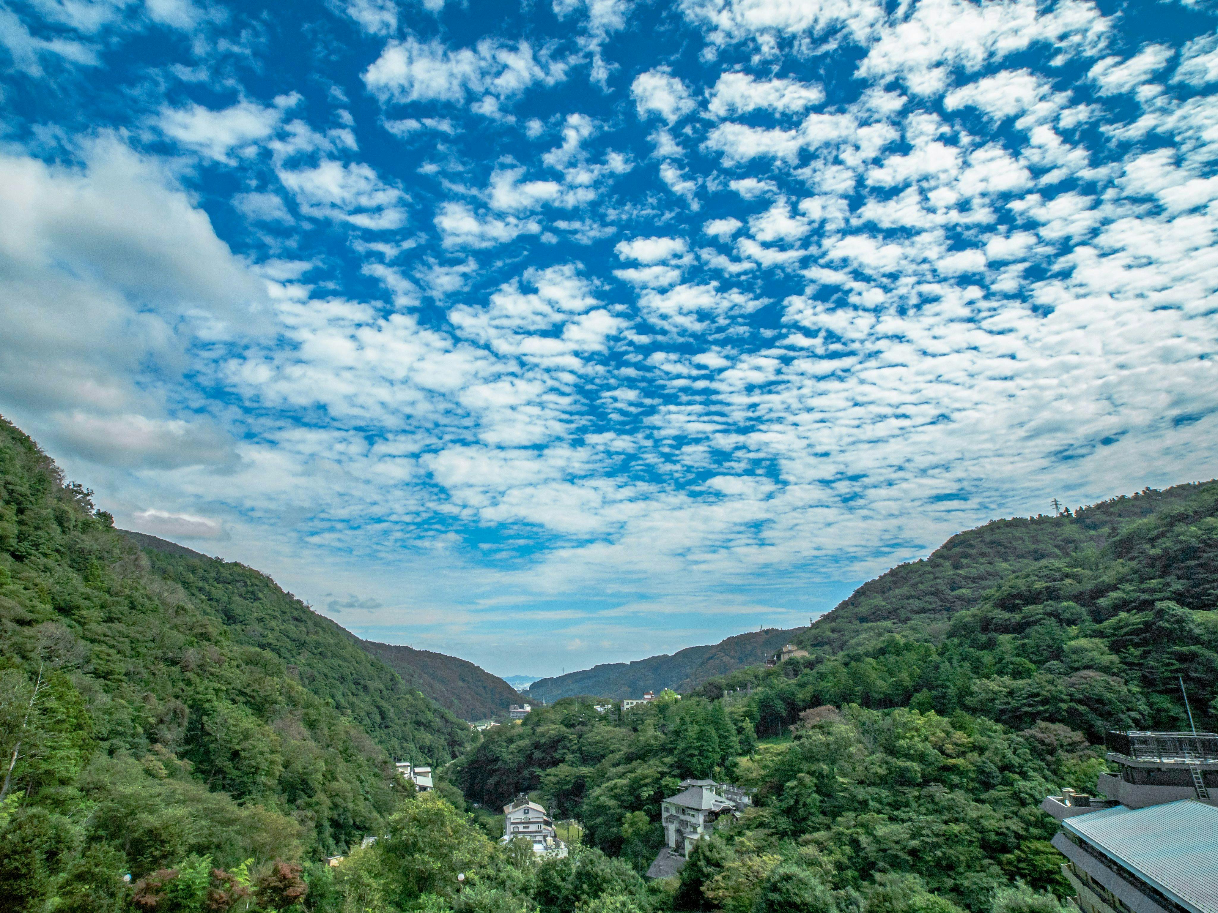 面向山谷的客房景觀