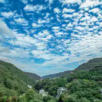 面向山谷的客房景觀