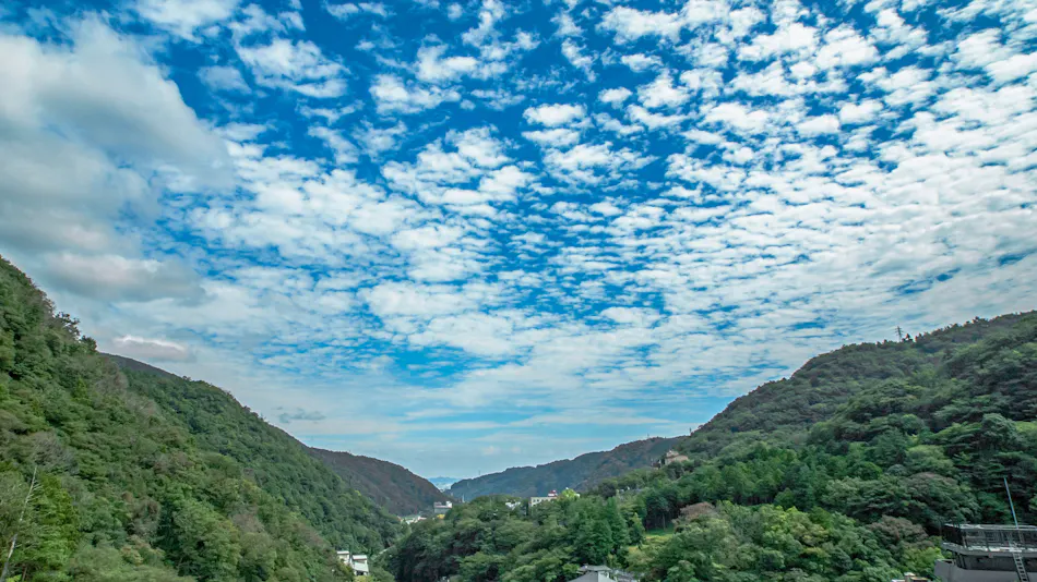 Hakone Mori Okada