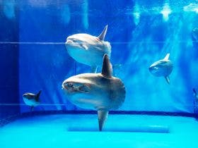 大洗パークホテル