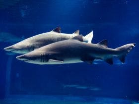 大洗パークホテル