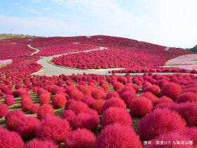 大洗パークホテル