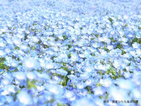 大洗パークホテル