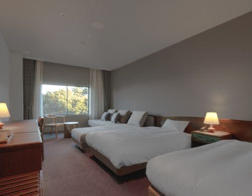 【エコノミーツイン】※一例