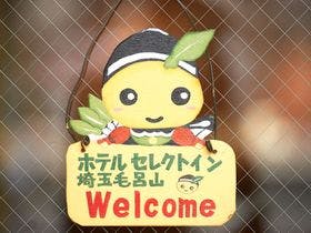 ホテルセレクトイン埼玉毛呂山