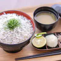 ชิราสุด้ง