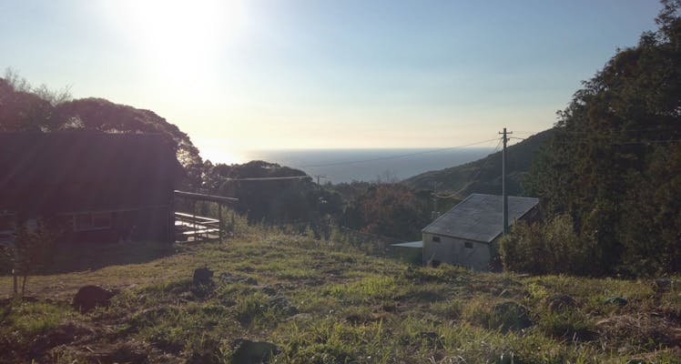 南伊豆 下田 のペットokのお部屋 安く泊まれるホテル 旅館 8選 お得に宿泊予約 Yahoo トラベル 南伊豆 下田 のペットokのお部屋 安く泊まれるホテル 旅館 8選 お得に宿泊予約 Yahoo トラベル