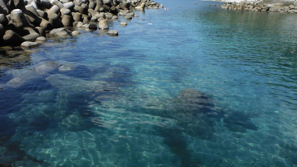 Minami Izu Land Hopia