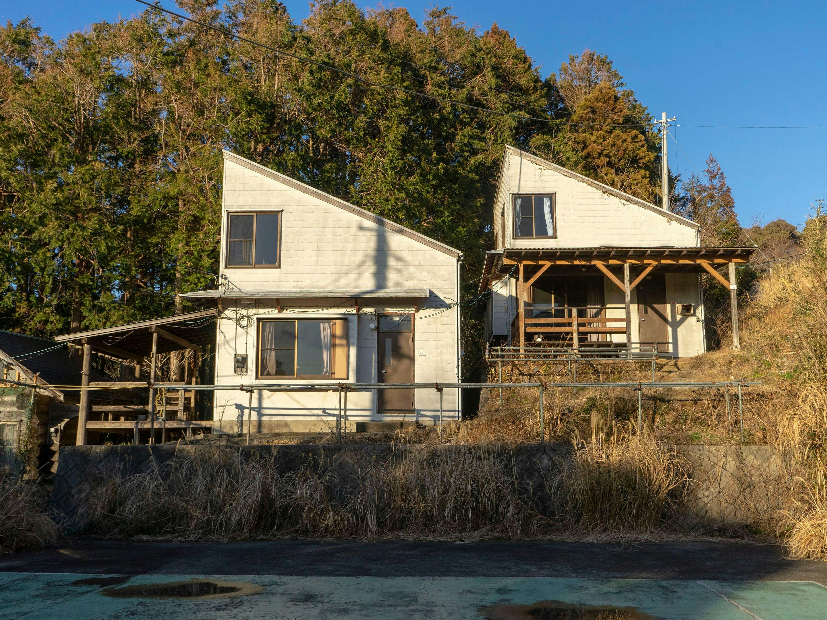 南伊豆 下田 のペットokのお部屋 安く泊まれるホテル 旅館 8選 お得に宿泊予約 Yahoo トラベル