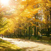 【สวนสาธารณะกีฬาโยโกฮาม่า】