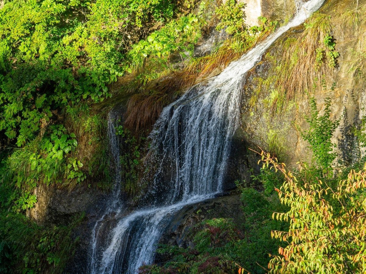 หุบเขาโมชิโระยามะ โคโยกาวะ