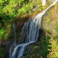 หุบเขาโมชิโระยามะ โคโยกาวะ