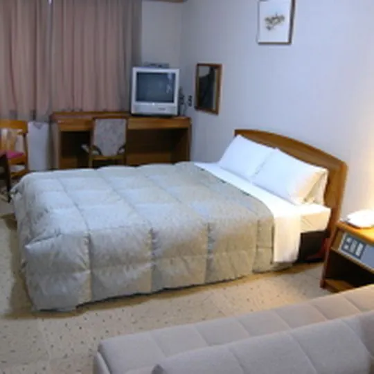 21平方米的高級雙人房